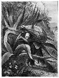 Guyana, South America, 19th Century-Edouard Riou-Giclee Print