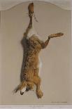 Souvenirs of the Hunt:The Hare; Souvenirs De Chasses: Le Lievre-Edouard Travies-Giclee Print