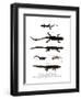 Edough Peninsula Ribbed Newt-null-Framed Giclee Print