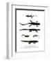 Edough Peninsula Ribbed Newt-null-Framed Giclee Print