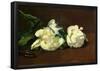 Edourard Manet Still Life White Peony Art Print Poster-null-Framed Poster