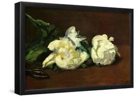 Edourard Manet Still Life White Peony Art Print Poster-null-Framed Poster