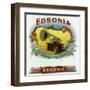 Edsonia Brand Cigar Box Label-Lantern Press-Framed Art Print