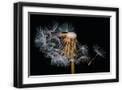 Black Frame