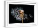 White Frame