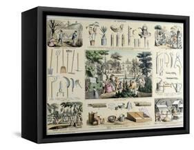 Educational Depiction of Gardening-Belin & Bethmont-Framed Stretched Canvas