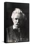 Edvard Grieg 1901-null-Framed Stretched Canvas