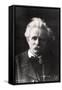 Edvard Grieg 1901-null-Framed Stretched Canvas