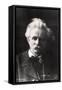 Edvard Grieg 1901-null-Framed Stretched Canvas