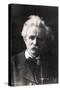 Edvard Grieg 1901-null-Stretched Canvas