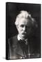 Edvard Grieg 1901-null-Framed Stretched Canvas