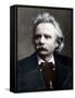 Edvard Grieg-Stefano Bianchetti-Framed Stretched Canvas