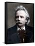 Edvard Grieg-Stefano Bianchetti-Framed Stretched Canvas