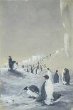 The Emperor Penguin Rookery, Cape Crozier-Edward Adrian Wilson-Framed Giclee Print