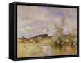 Framed Canvas