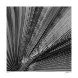 Agave Waves 2-Edward Asher-Limited Edition