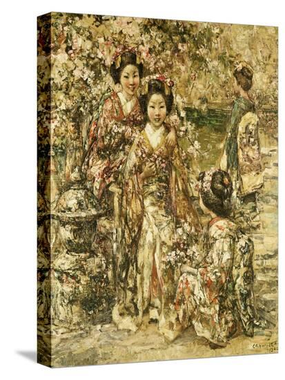 Stretched Canvas Print, , large