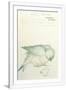 Gramercy White