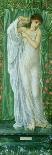 The Sower-Edward Burne-Jones-Giclee Print