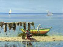 Drying Nets: Abu Dhabi-Edward Dawson-Framed Giclee Print