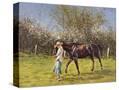 Stretched Canvas