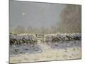 Wood Mount