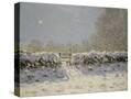 Stretched Canvas