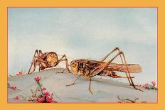 The White-Faced Decticus-Edward Detmold-Art Print