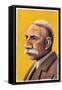 Edward Elgar, 2008-Sara Hayward-Framed Stretched Canvas