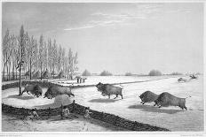 Illustration of Parry's Men Playing Cricket on Pack Ice-Edward Finden-Giclee Print