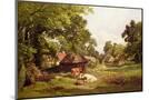 Wood Mount