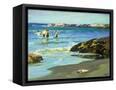 Canvas Black