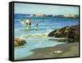 Canvas Black