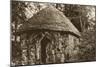 Edward Jenner's Thatched Hut, Berkeley, Gloucestershire, 20th Century-S Pead-Mounted Giclee Print