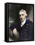 Edward Jenner, Who Discovered Vaccination in 1798-null-Framed Stretched Canvas