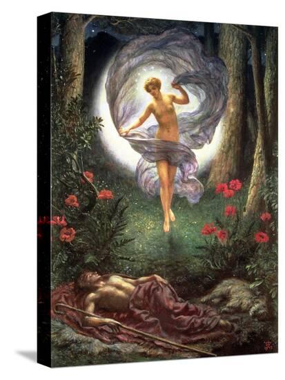 Stretched Canvas Print, , large