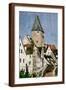 Brown Frame