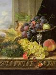 Grapes, Apple, Plums and Peach with Hock Glass on Draped Ledge-Edward Ladell-Giclee Print
