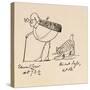 Edward Lear Aged 73 and a Half and His Cat Foss, Aged 16-Edward Lear-Stretched Canvas