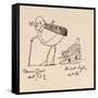 Edward Lear Aged 73 and a Half and His Cat Foss, Aged 16-Edward Lear-Framed Stretched Canvas