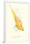 Gramercy White