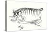 Edward Lear’S Cat, Foss (Colour Litho)-Edward (after) Lear-Stretched Canvas