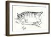 Edward Lear’S Cat, Foss (Colour Litho)-Edward (after) Lear-Framed Giclee Print