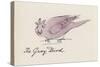 Edward Lear, the Bird Book: the Gray Bird (Colour Litho)-Edward (after) Lear-Stretched Canvas