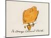 Edward Lear, the Bird Book: the Orange Coloured Bird (Colour Litho)-Edward (after) Lear-Mounted Giclee Print