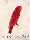 The Letter W-Edward Lear-Giclee Print