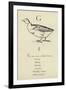 Gramercy Black