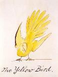 Yellow Bird-Edward Lear-Giclee Print