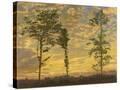 Stretched Canvas