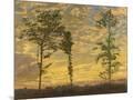 Wood Mount